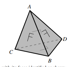Tetrahedron with pairwise face identifications