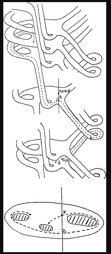 A covering space of a disk with three holes, with a loop based at x and its lift